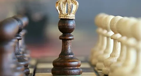 chess beginners