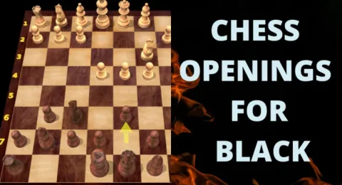 chess openings for black