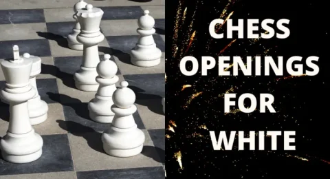 chess openings for white