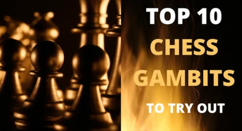 Popular Gambits