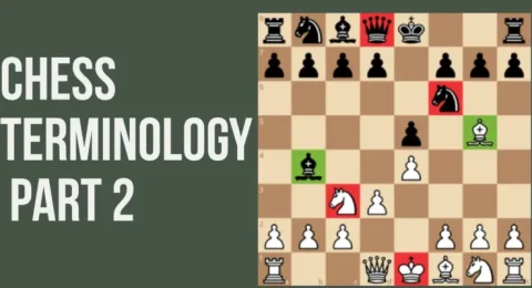 chess terms