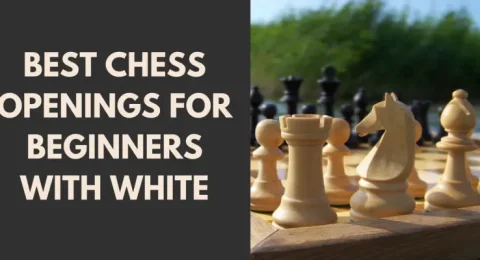 The Best Chess Openings