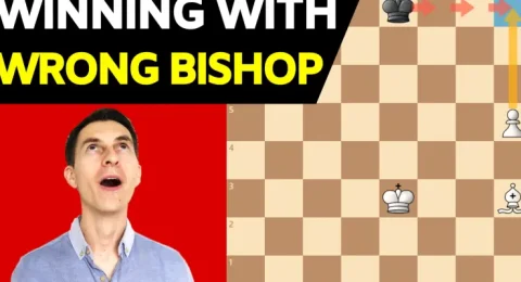 International Chess Day 2022