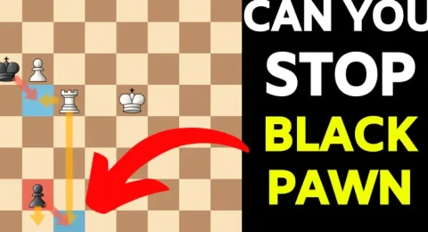 3 Brilliant and Tricky Chess