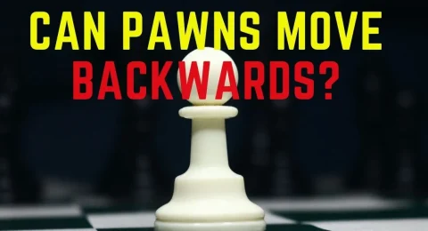 Pawns don't move backwards