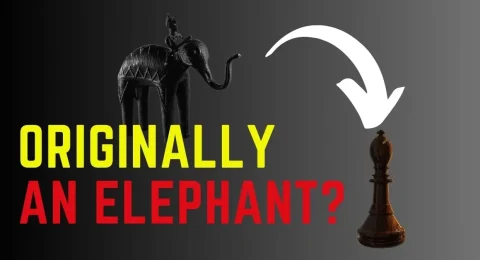 Chess Elephant