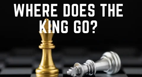 king go for safety