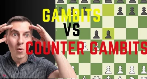 Counter-Gambits