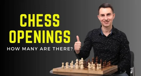 How Many Chess Openings