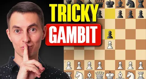 Belgrade Gambit