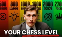 Fischer Simul Puzzle